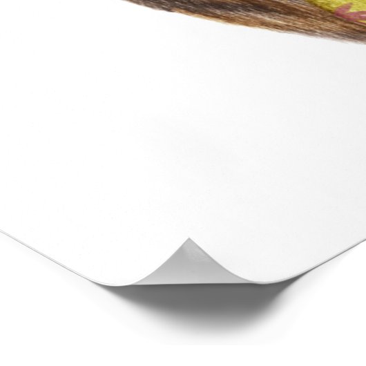 Poster Chat hawaïen (Coin)