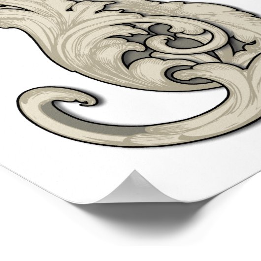 Poster Chat Illustre (Coin)