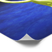 Poster Chat jaune tournant (Coin)