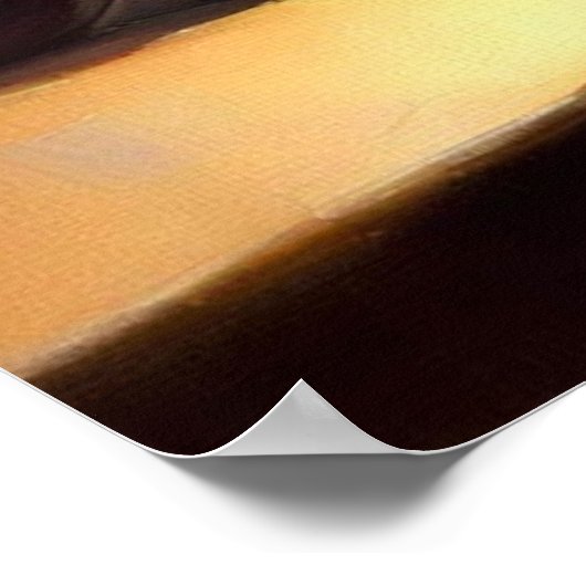 Poster Chat Longhair (Coin)