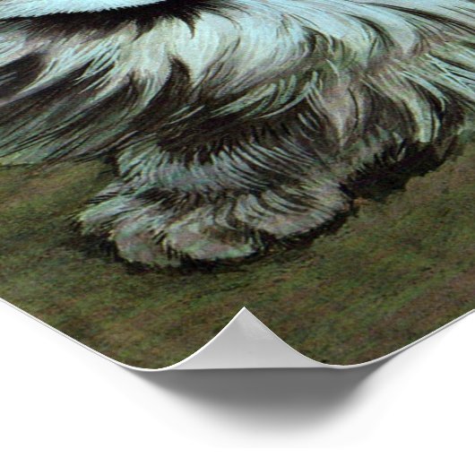 Poster Chat, Louis Wain (Coin)