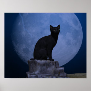Poster Chat Lune