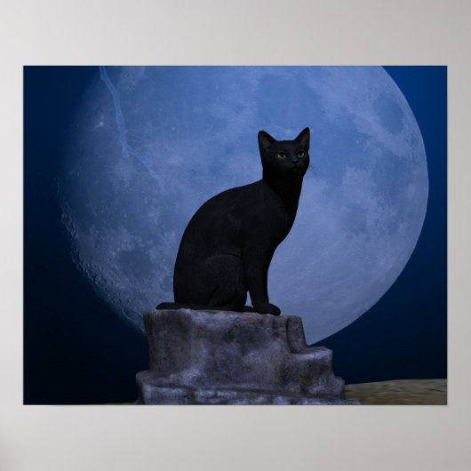 Poster Chat Lune (Devant)