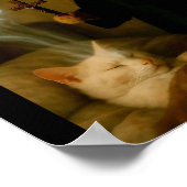 Poster Chat mage Mème Chat Exorcisme Souris Drôle Fantais (Coin)