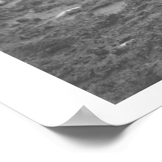 Poster Chat mangeant dans une boîte de café. (Coin)