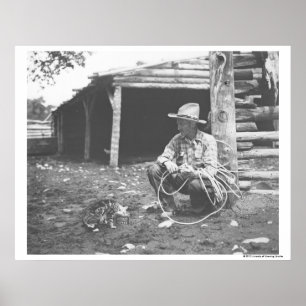 Poster Chat mangeant dans une boîte de café.