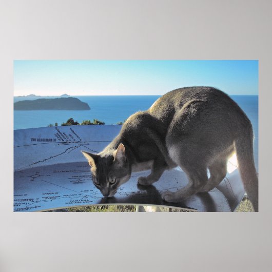 Poster Chat marque l'emplacement : Sommet du mont Paku No (Devant)