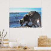 Poster Chat marque l'emplacement : Sommet du mont Paku No (Cuisine)