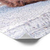 Poster Chat Maspalomas (Coin)