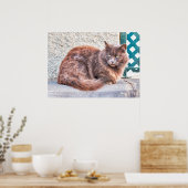 Poster Chat Maspalomas (Cuisine)