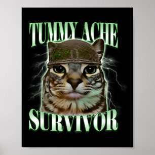 Poster Chat Mème Survivant Mal Au Ventre Drôle Humour Dic