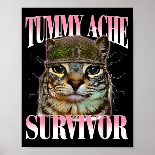 Poster Chat Mème Survivant Mal De Ventre Drôle De Dicton (Devant)