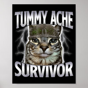 Poster Chat Mème Survivant Mal De Ventre Drôle De Dicton 
