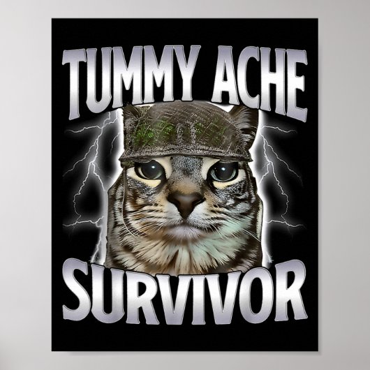 Poster Chat Mème Survivant Mal De Ventre Drôle De Dicton (Devant)