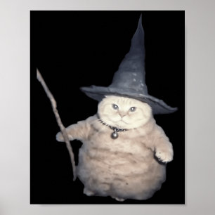 Poster Chat mignon drôle sorcier chat étrange mignon chat
