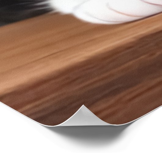 Poster Chat mignon et adorable en casquette jaune | Art A (Coin)