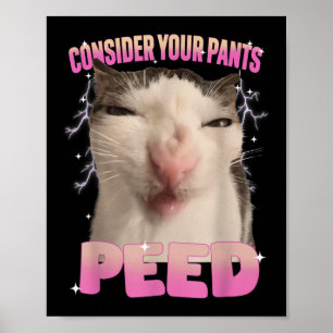 Poster Chat mignon qui a fait pipi sur votre pantalon Mèm