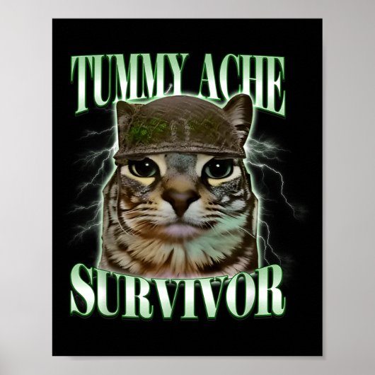 Poster Chat mignon survivant de mal de ventre (Devant)
