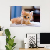 Poster Chat mignonne aux yeux bleus (Bureau à domicile)