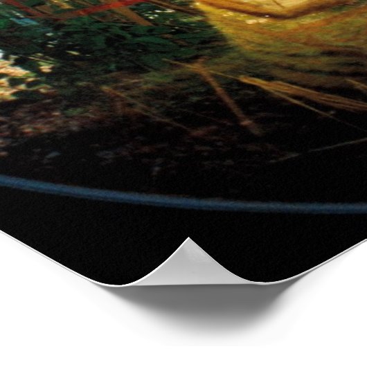 Poster Chat miroir (Coin)