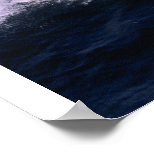 Poster Chat mondial 250DC (Coin)