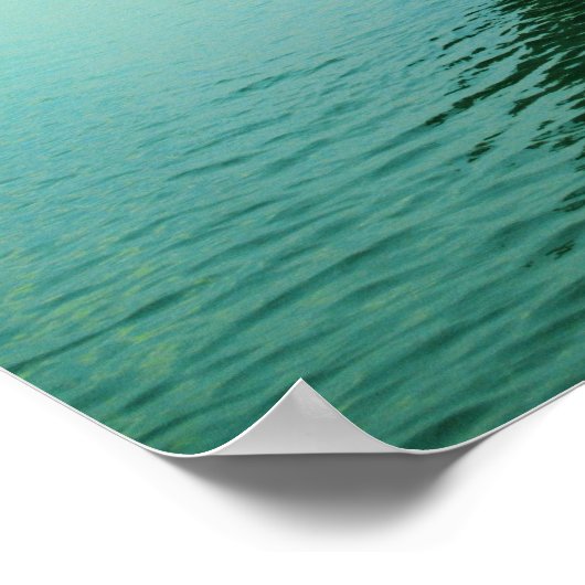 Poster Chat mondial 270EC (Coin)