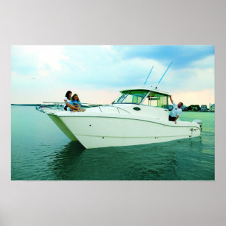 Poster Chat mondial 270HT