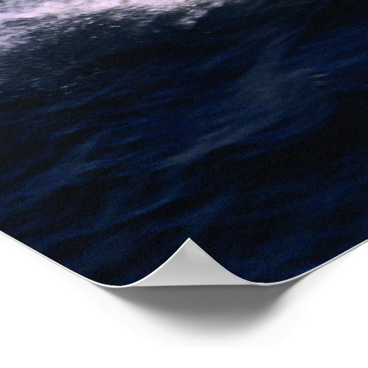 Poster Chat mondial 270SD (Coin)