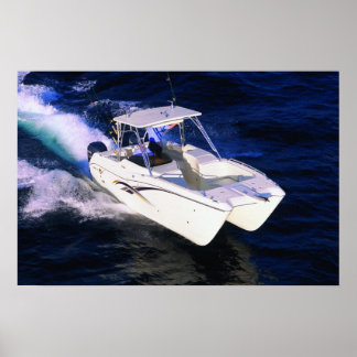 Poster Chat mondial 270SD