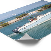 Poster Chat mondial 270SF (Coin)