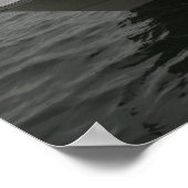 Poster Chat mondial 320EC (Coin)