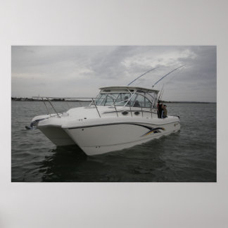 Poster Chat mondial 320EC