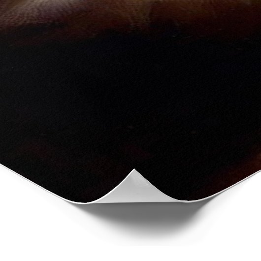 Poster Chat Munchkin (Coin)