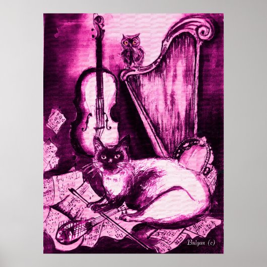 Poster CHAT MUSICAL ,Rose Violet et Blanc (Devant)