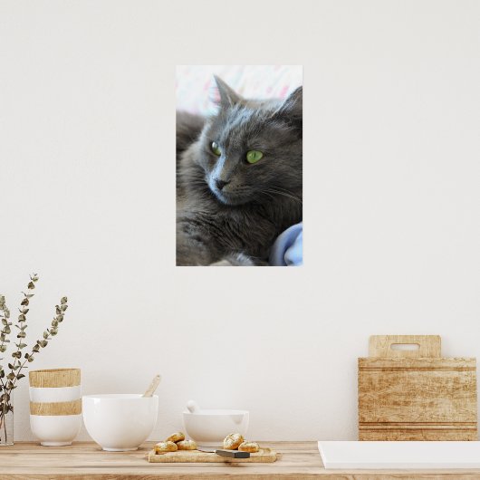 Poster Chat Nebelung (Cuisine)
