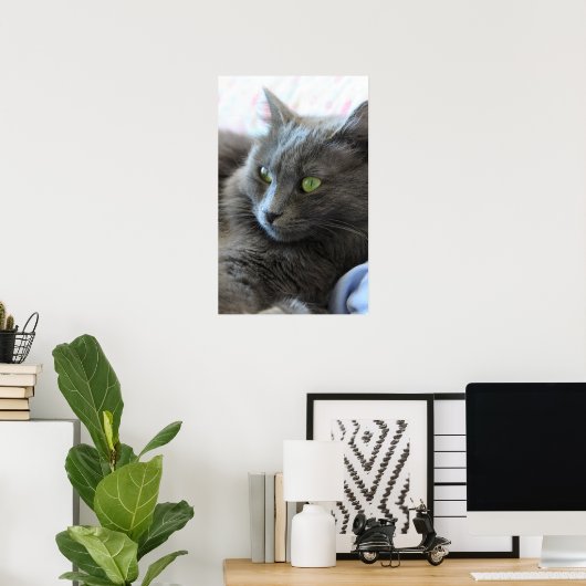 Poster Chat Nebelung (Bureau à domicile)