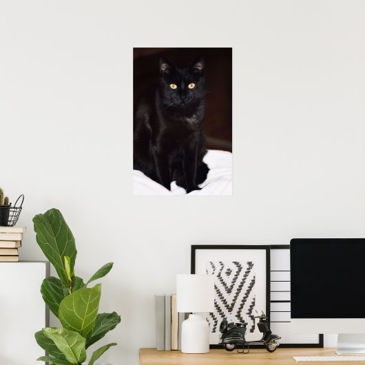 Poster Chat noir (Bureau à domicile)