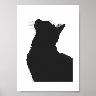 Poster Chat noir