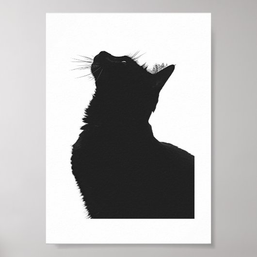 Poster Chat noir (Devant)
