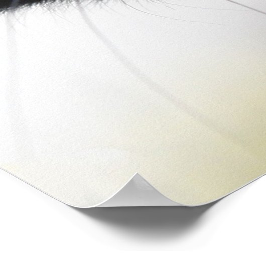 Poster Chat noir (Coin)