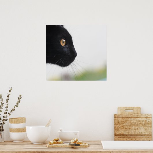 Poster Chat noir (Cuisine)