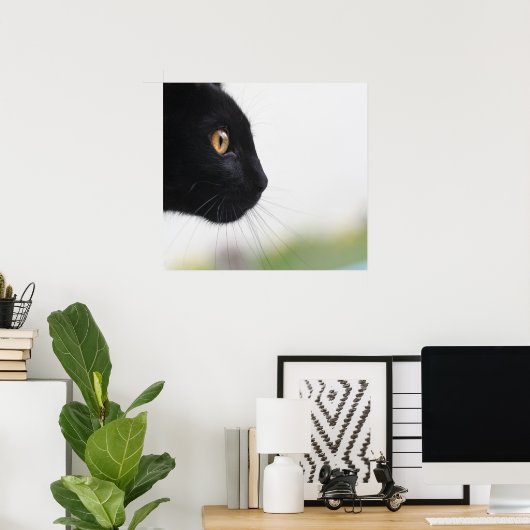 Poster Chat noir (Bureau à domicile)
