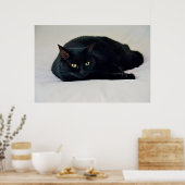 Poster Chat noir (Cuisine)