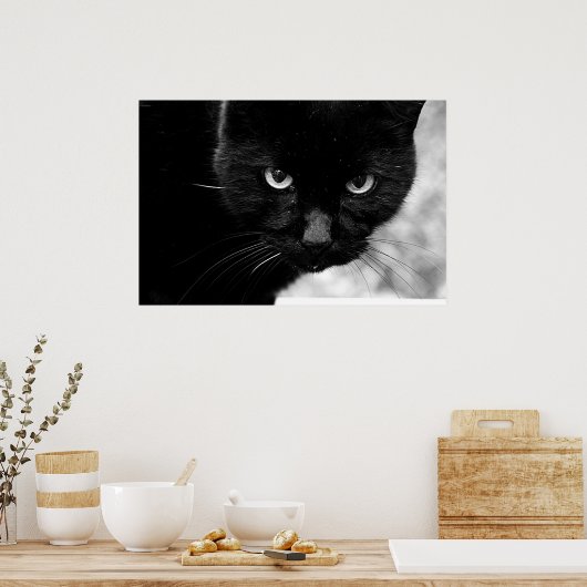 Poster Chat noir (Cuisine)