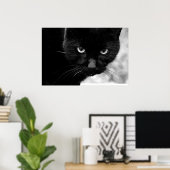 Poster Chat noir (Bureau à domicile)