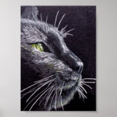 Poster Chat noir (Devant)