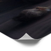 Poster chat noir (Coin)