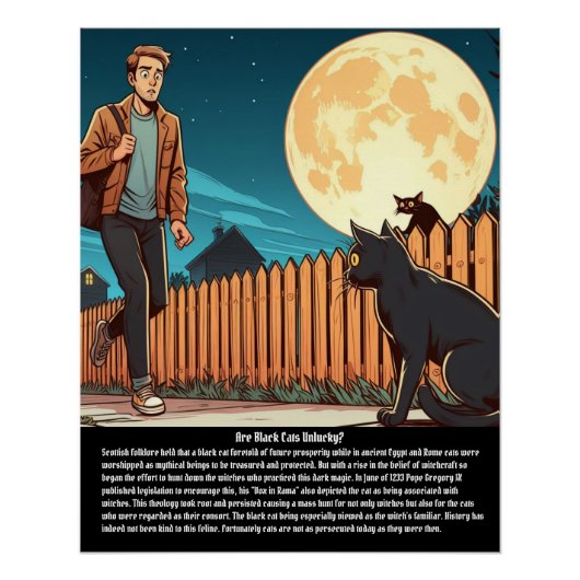 Poster Chat noir (Devant)
