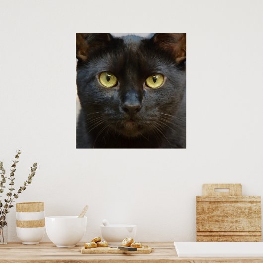 Poster chat noir (Cuisine)