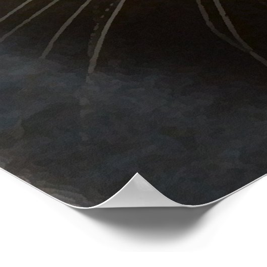 Poster chat noir (Coin)